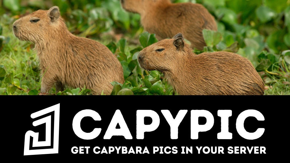 capypic banner